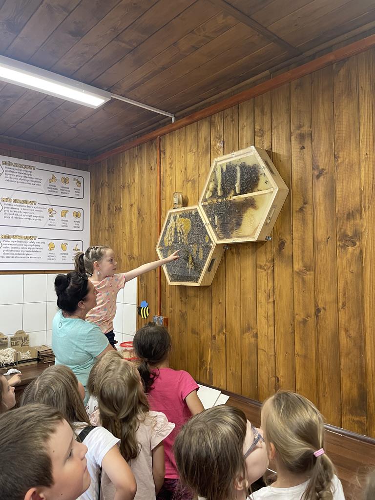 Dzieci szukają królowej pośród pszczół.